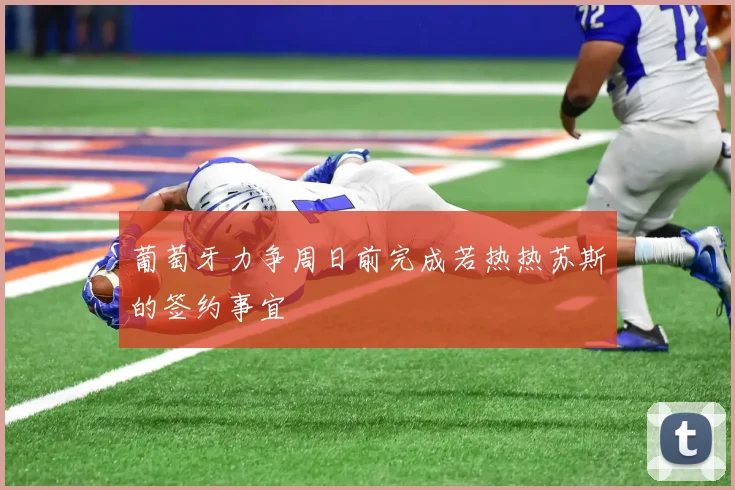 葡萄牙力争周日前完成若热热苏斯的签约事宜