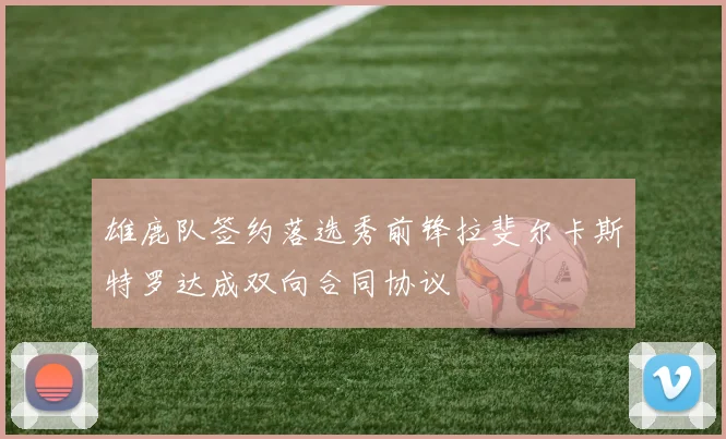 雄鹿队签约落选秀前锋拉斐尔卡斯特罗达成双向合同协议