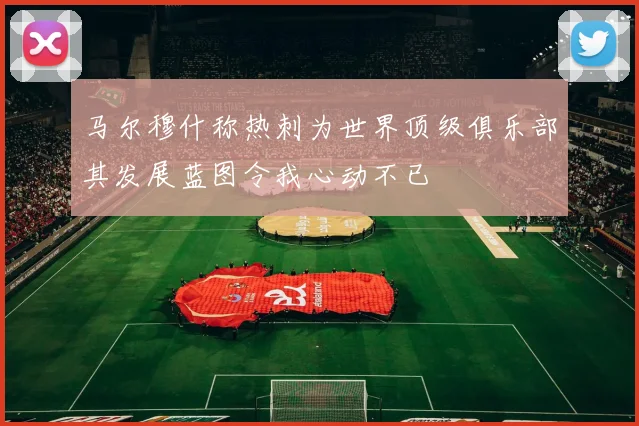 马尔穆什称热刺为世界顶级俱乐部其发展蓝图令我心动不已